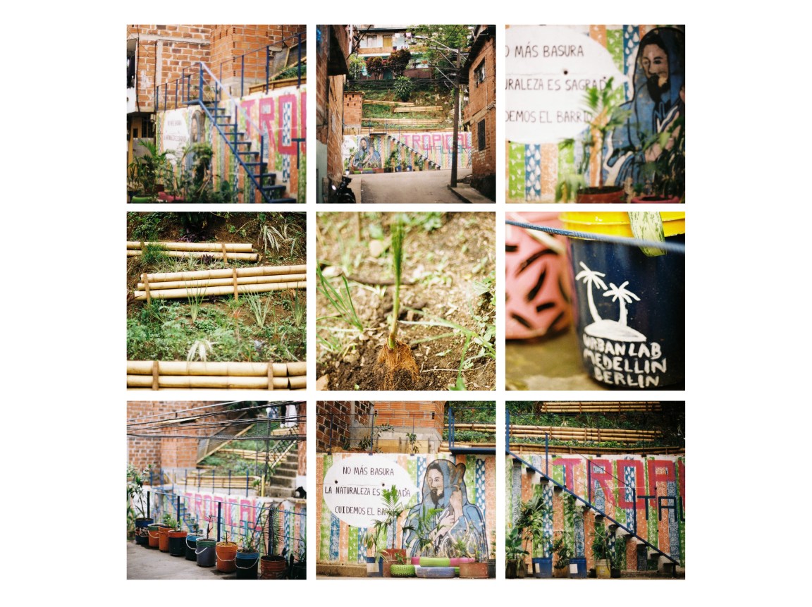 TT GARTEN NACHHER MOSAIK